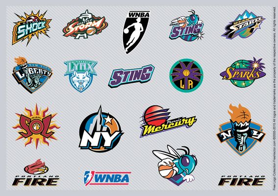 伴侣也已适 伴侣也已适